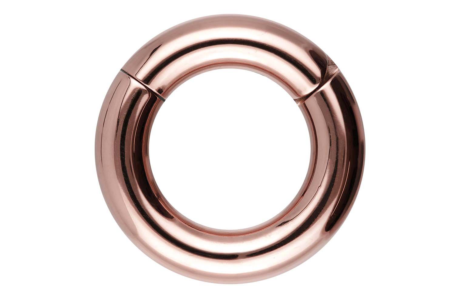 Chirurgenstahl Segmentring Clicker Piercing